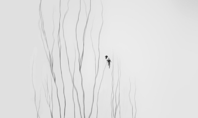 Picture of Winter Moment