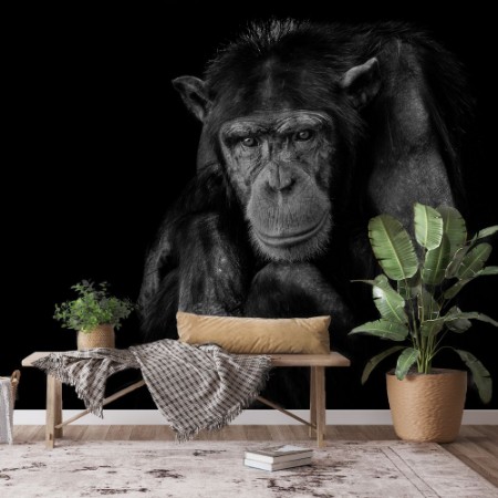 Εικόνα της Youth Don't Last Forever