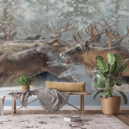 Picture of Reindeers III