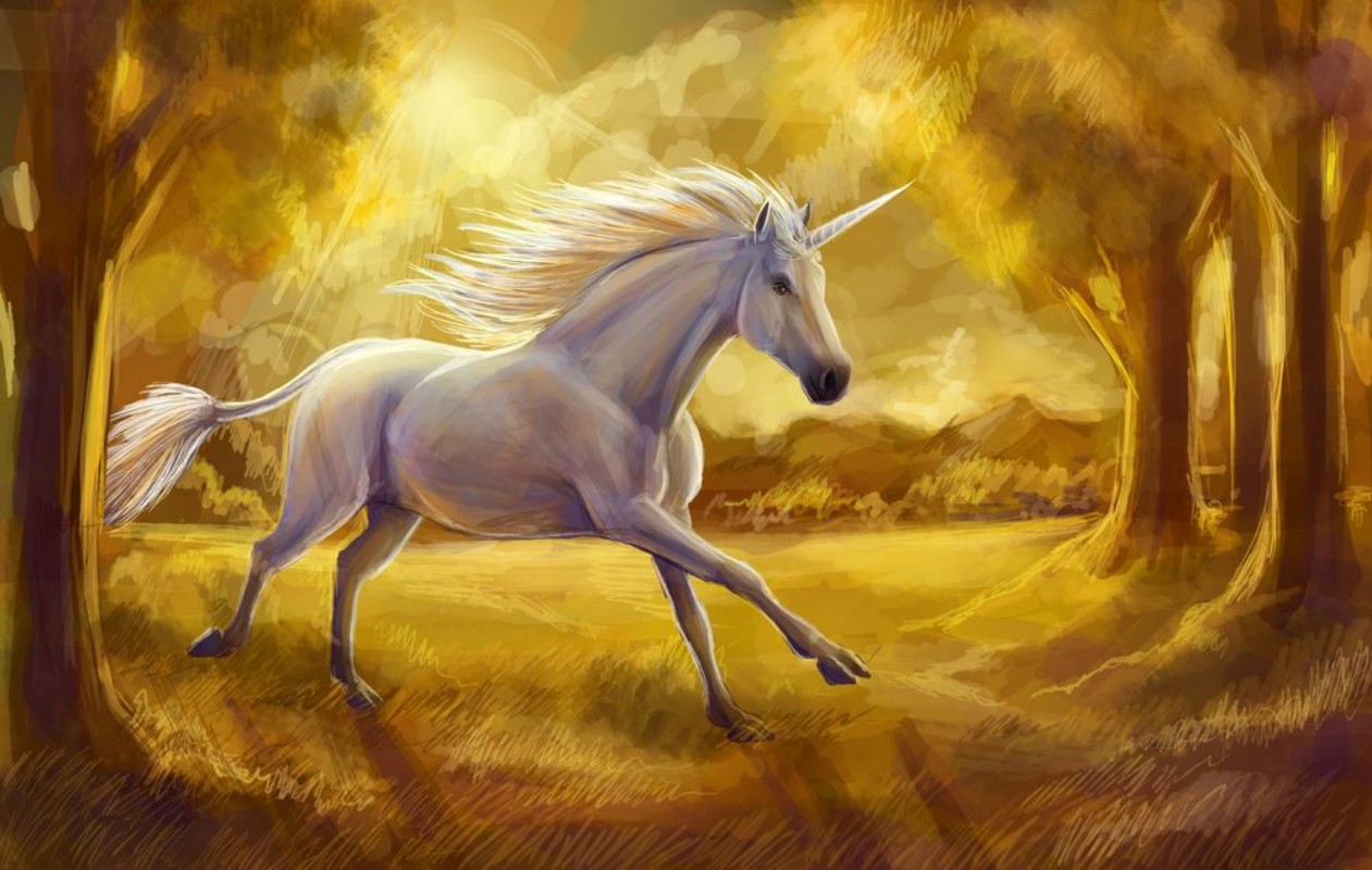 Afbeeldingen van Unicorn Sunset