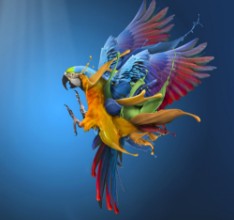 Obrázek Flying Colours
