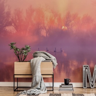 Image de Swan Lake Sunrise