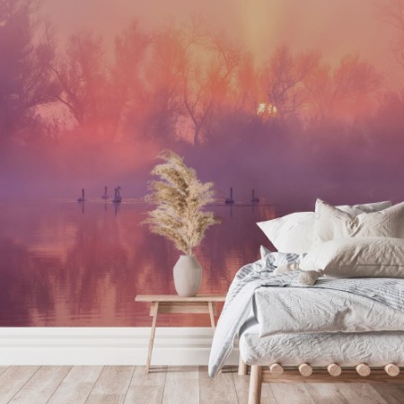 Picture of Swan Lake Sunrise