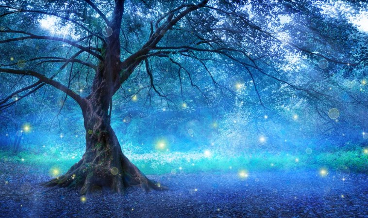 Mystical Tree photowallpaper Scandiwall