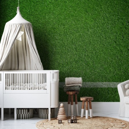 Image de Before the Game