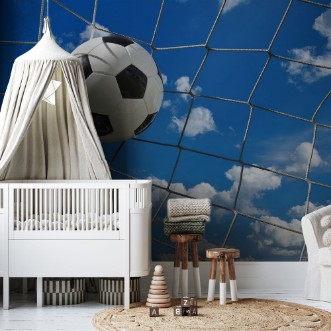 Picture of Football flying into Goal