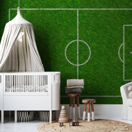 Picture of Football Field