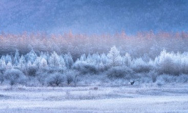 Εικόνα της Autumn and Winter gradients