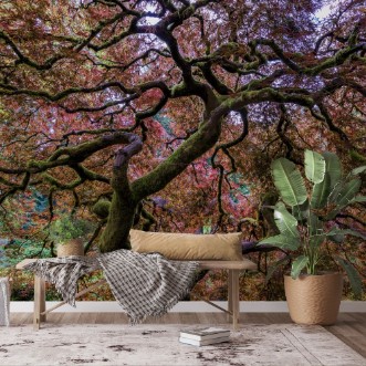 Bild på Japanese Maple Tree