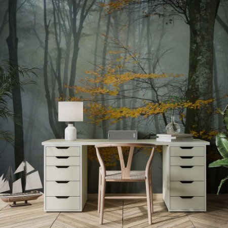 Bild von Beech Forest in Autumn