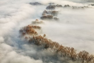Obrazek Foggy Valley
