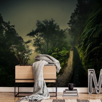 Image de Chemin de la forêt tropicale