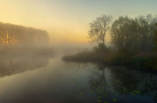 Image de Nature's Painting