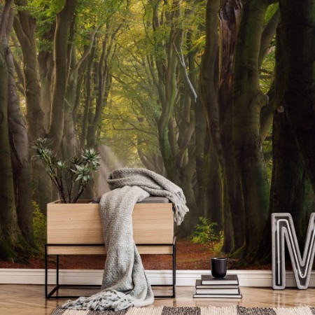 Picture of A Glorious Day