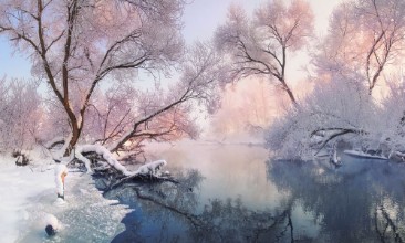 Image de Christmas Lake