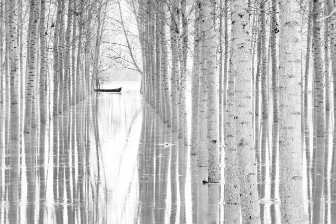 Picture of Free movement