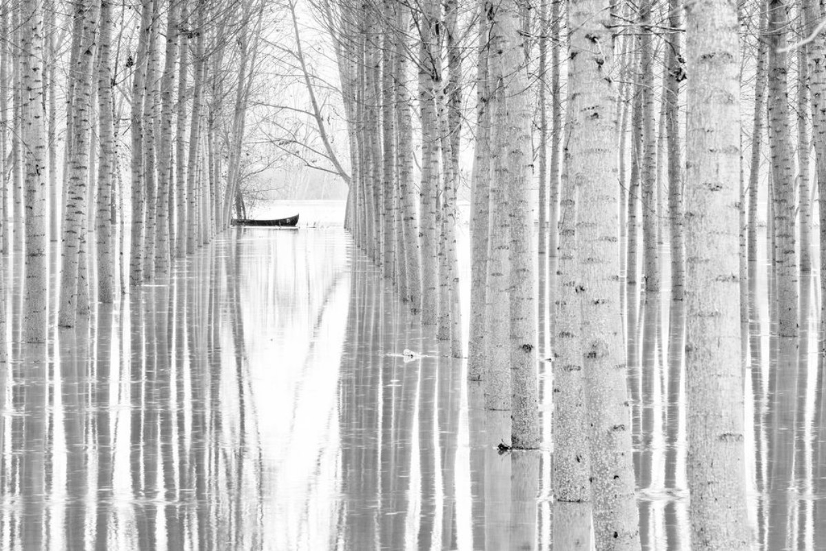 Picture of Free movement