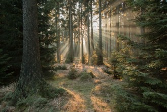 Poza cu Rays, part 2
