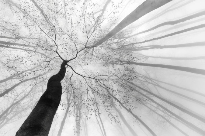 Bild von After Winter Sleep