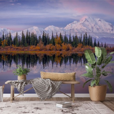 Bild på Denali Reflection