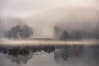 Bild vun Mystic morning II