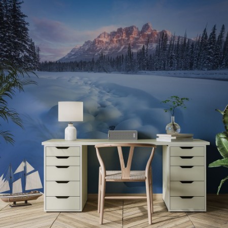 Bild på Snow Castle