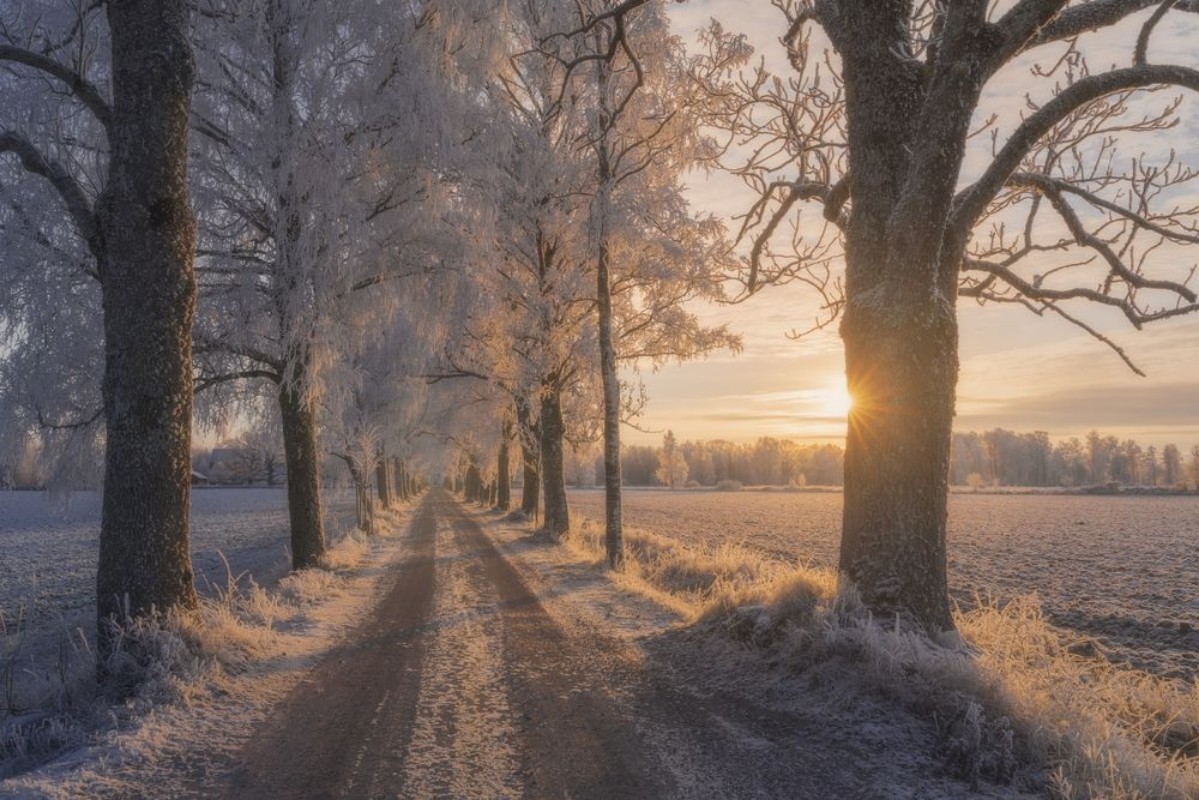 Bild på The Road not Taken