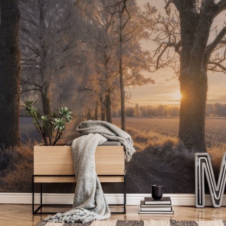 Image de The Road not Taken