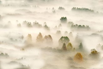 Afbeeldingen van Autumn Dream #3