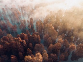 Image de Autumn