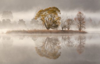 Misty Morning paveikslėlis