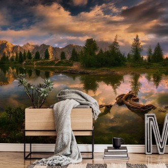 Afbeeldingen van Limides