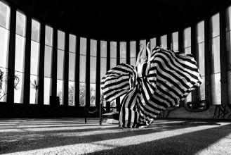 Imagem de Colorless Beauty