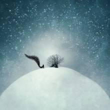 Immagine di Forlorn