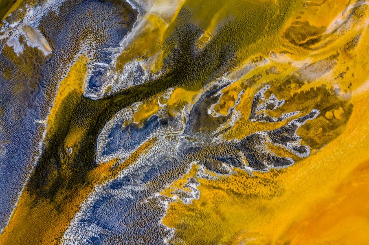 Picture of Poisoned flowers