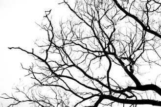 Bild von Natt Noir
