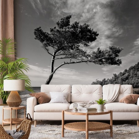 Image de Trees in the Wind