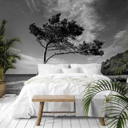 Image de Trees in the Wind