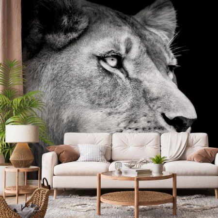 Picture of Lioness Gaze