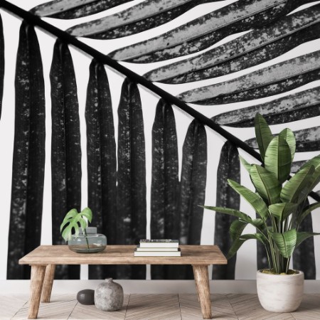 Picture of Palm in Black and White