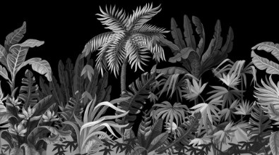 Picture of Dark Jungle