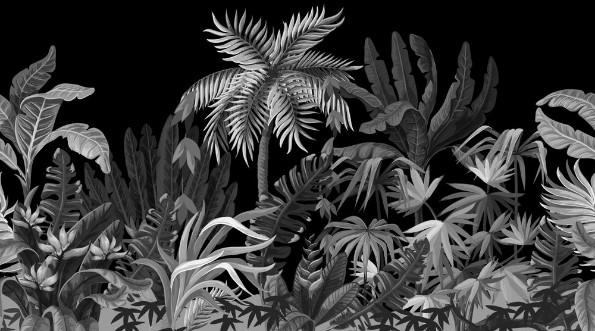 Bild på Dark Jungle