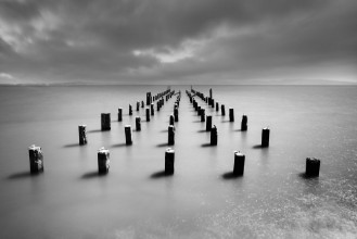 Picture of Wooden Poles