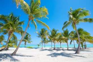 Slika Idyllic Tropical Beach