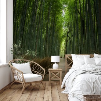Picture of Bamboo Forest Japan