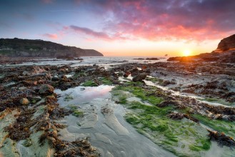 Image de Tide at Trevellas Coombe