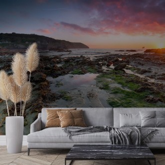 Picture of Tide at Trevellas Coombe