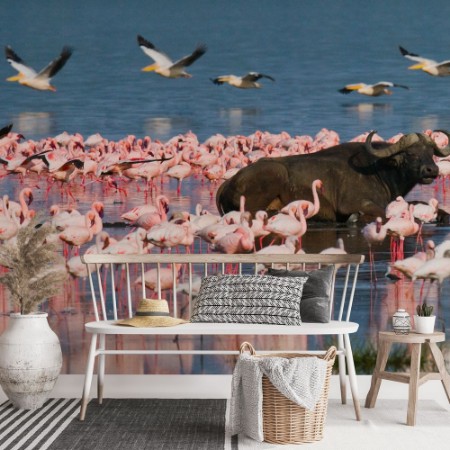 Picture of Kenyansk dyreliv