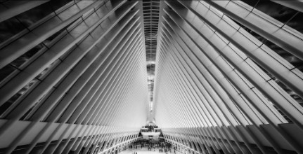 Bild von Oculus