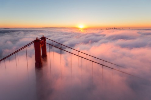 Picture of Monday Mornings